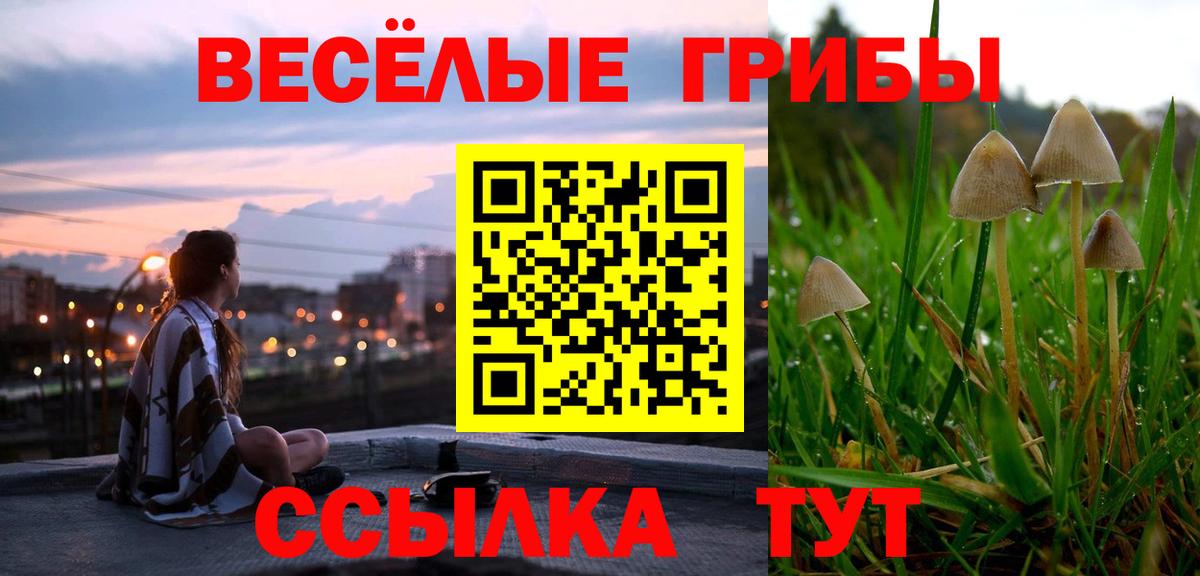 Псилоцибиновые грибы мухоморы  Вход с VPN  Галлюциногенные грибы MAGIC MUSHROOMS  продажа наркотиков  Ижевск 